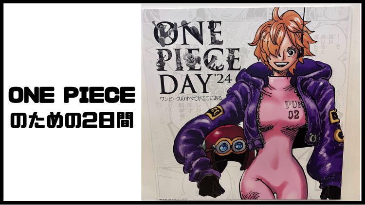 ONE PIECE DAY